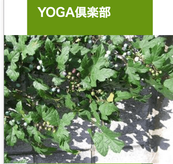 アトリエ倭空間ＹＯＧＡ倶楽部