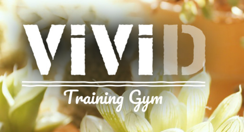 ViViD 加圧トレーニングジム